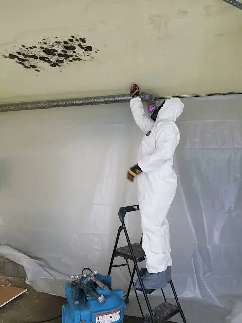 Critical poly containment barrier isolating attic ceiling work area