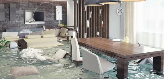 Restore Crest Dallas Appliance Leak Water Damage Restoration Crew